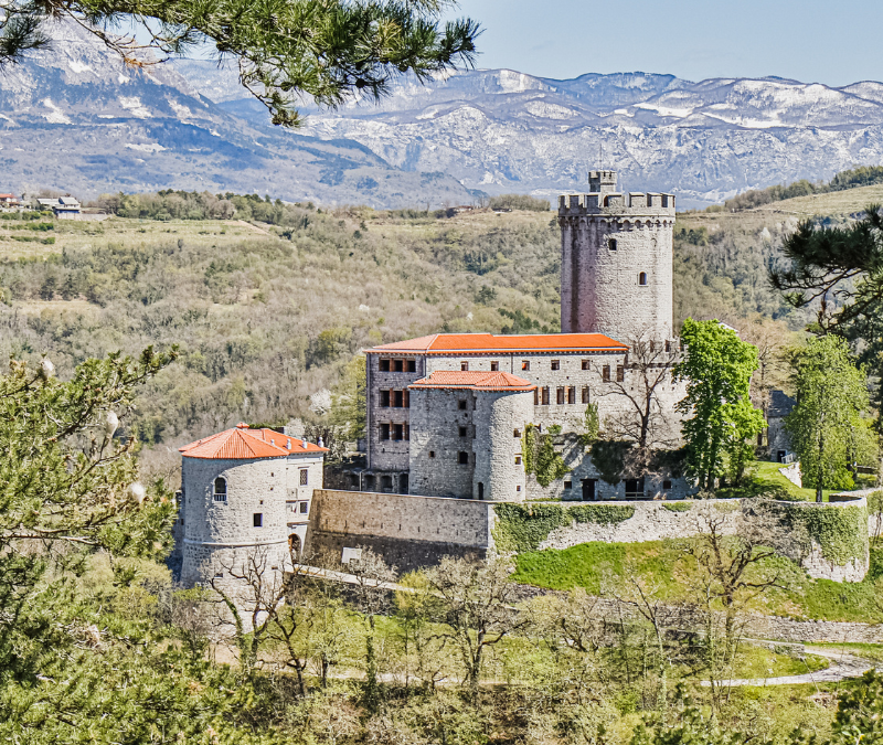 Neslišno – slišno, med netopirji