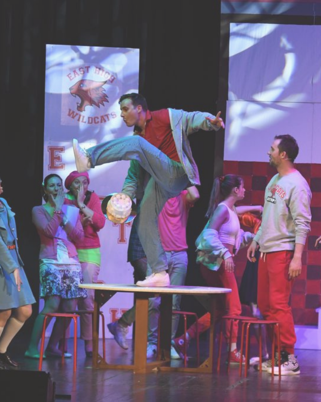 "HSM Go Wildcats!" 
