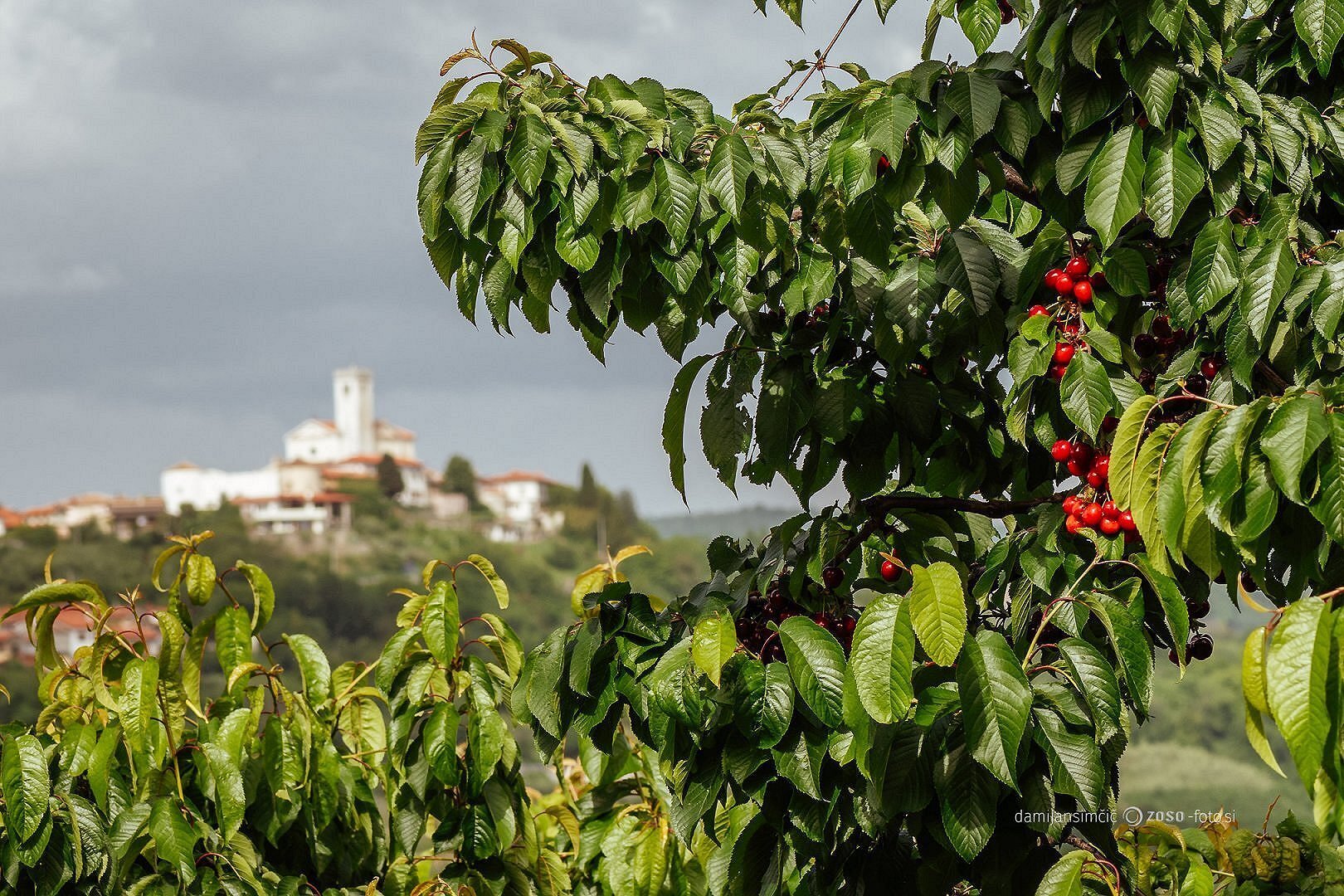 20th Traditional "Cherry to cherry hike"