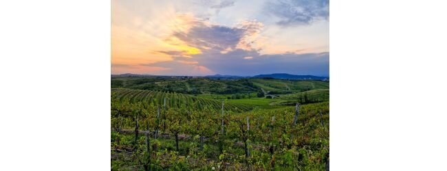 48. ESCURSIONISMO E CORSA SULLE COLLINE DI BILJEN