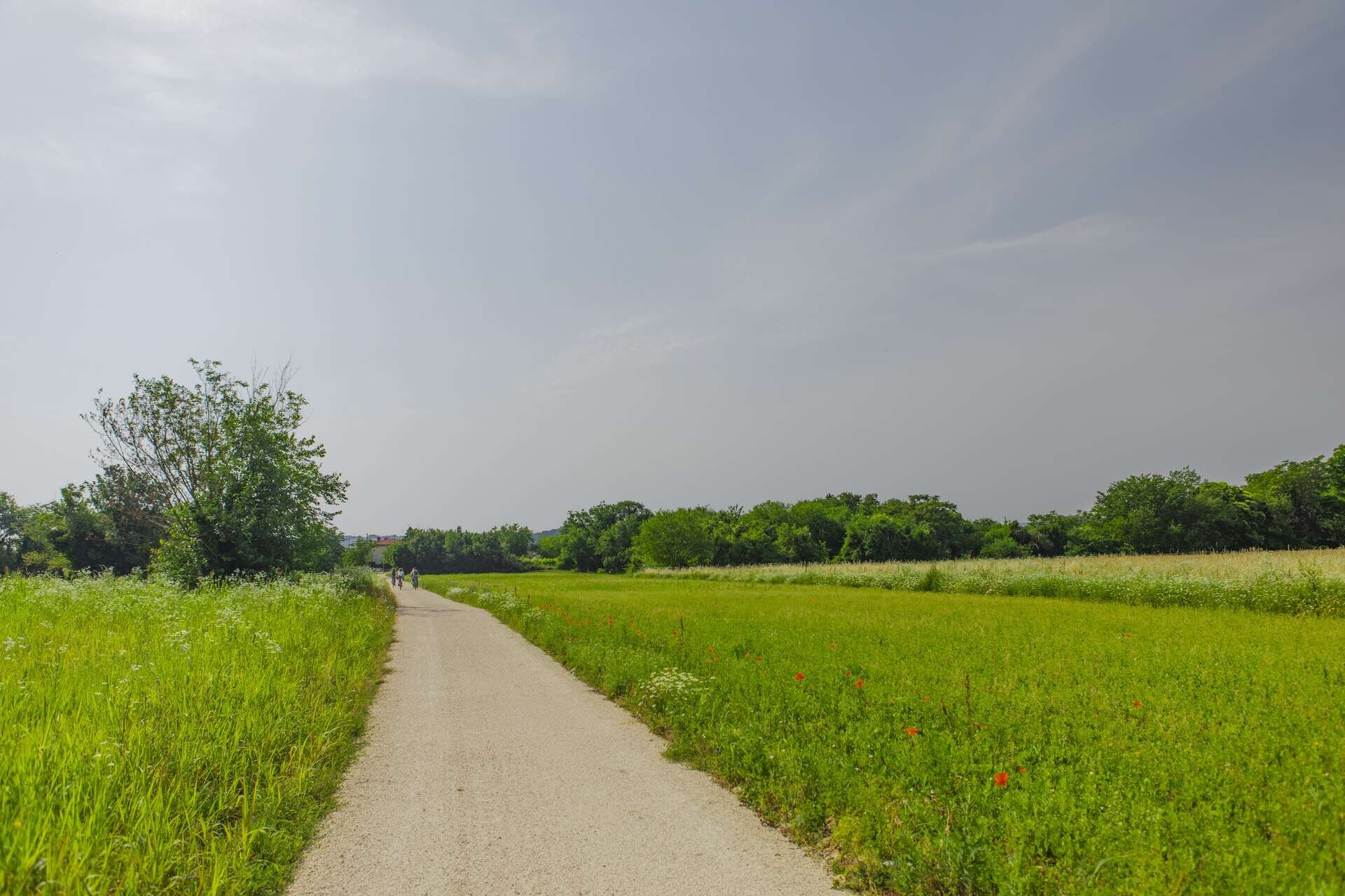Discovering the new cross-border cycle paths of EGTC GO