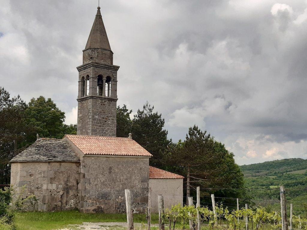 Di Sciami e Greggi