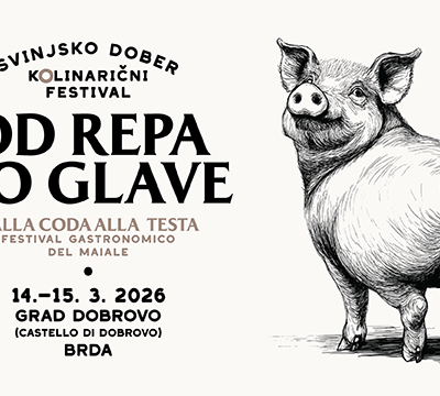 HEAD TO TAIL Festival 