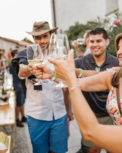 Festival dei vini della Valle del Vipava 