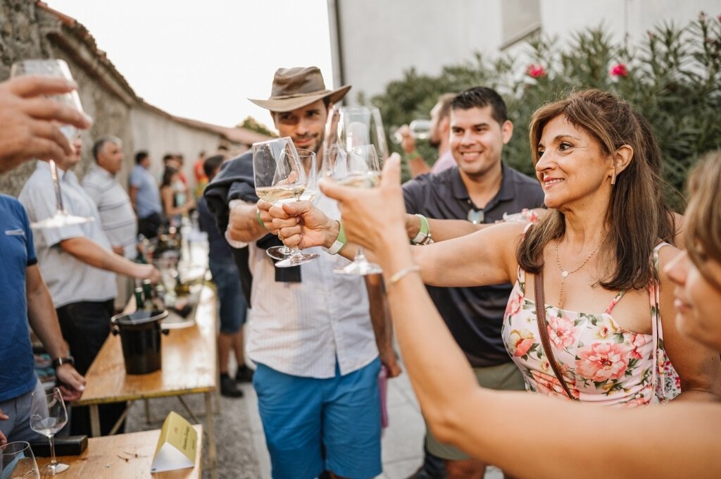 Festival dei vini della Valle del Vipava Festival dei vini della Valle del Vipava