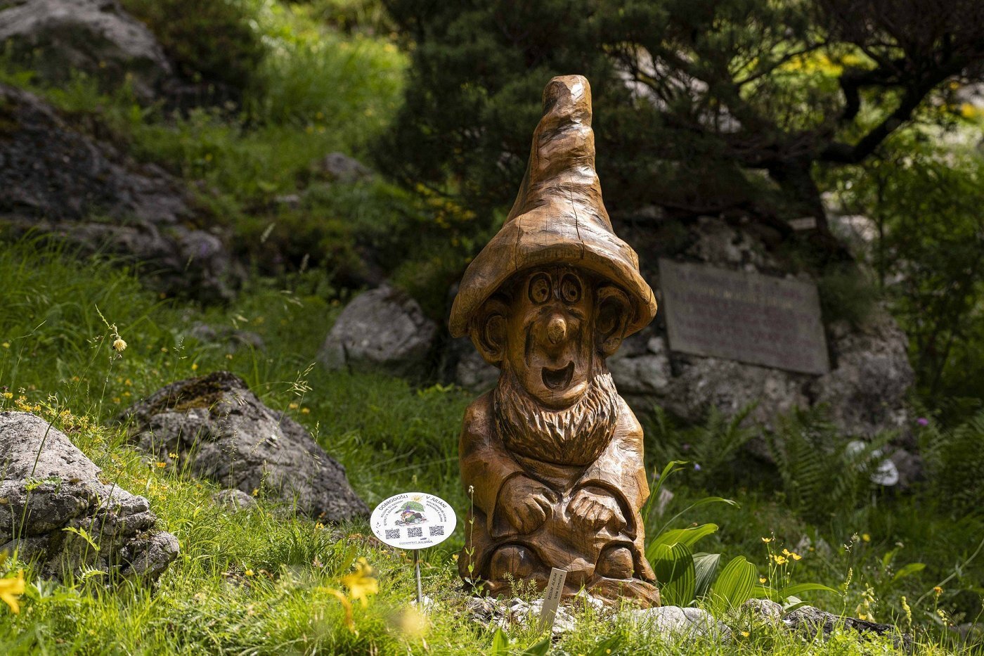 Zoisey the dwarf’s treasure 