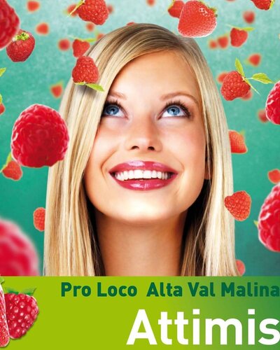 La Sagra delle Fragole e dei Lamponi 2025