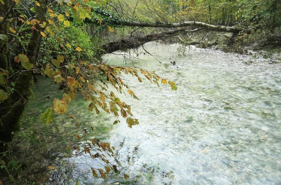 Ob Nadiži z avtorico Cristino Noacco in gozdnim učiteljem Giovannijem Korenom