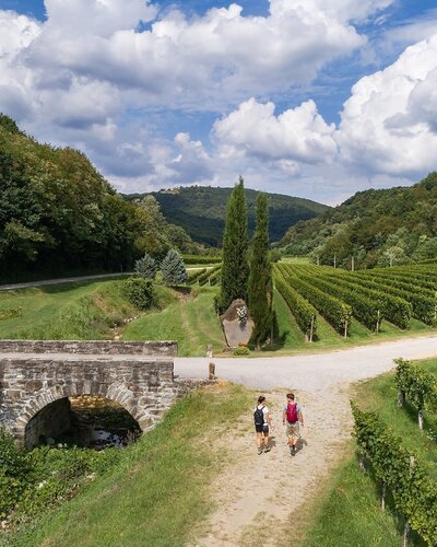 Marcia di San Martino attraverso Brda
