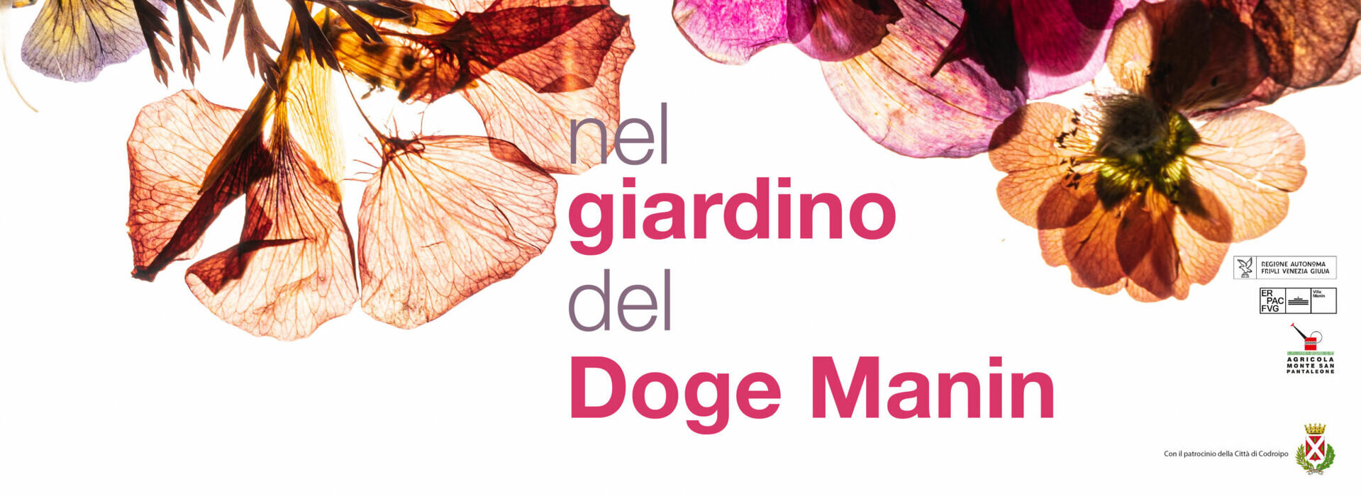 Nel Giardino del Doge Manin 