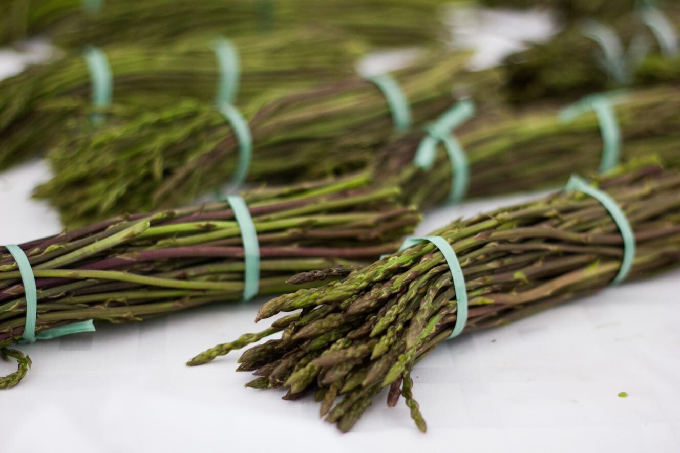 Festa degli asparagi 
