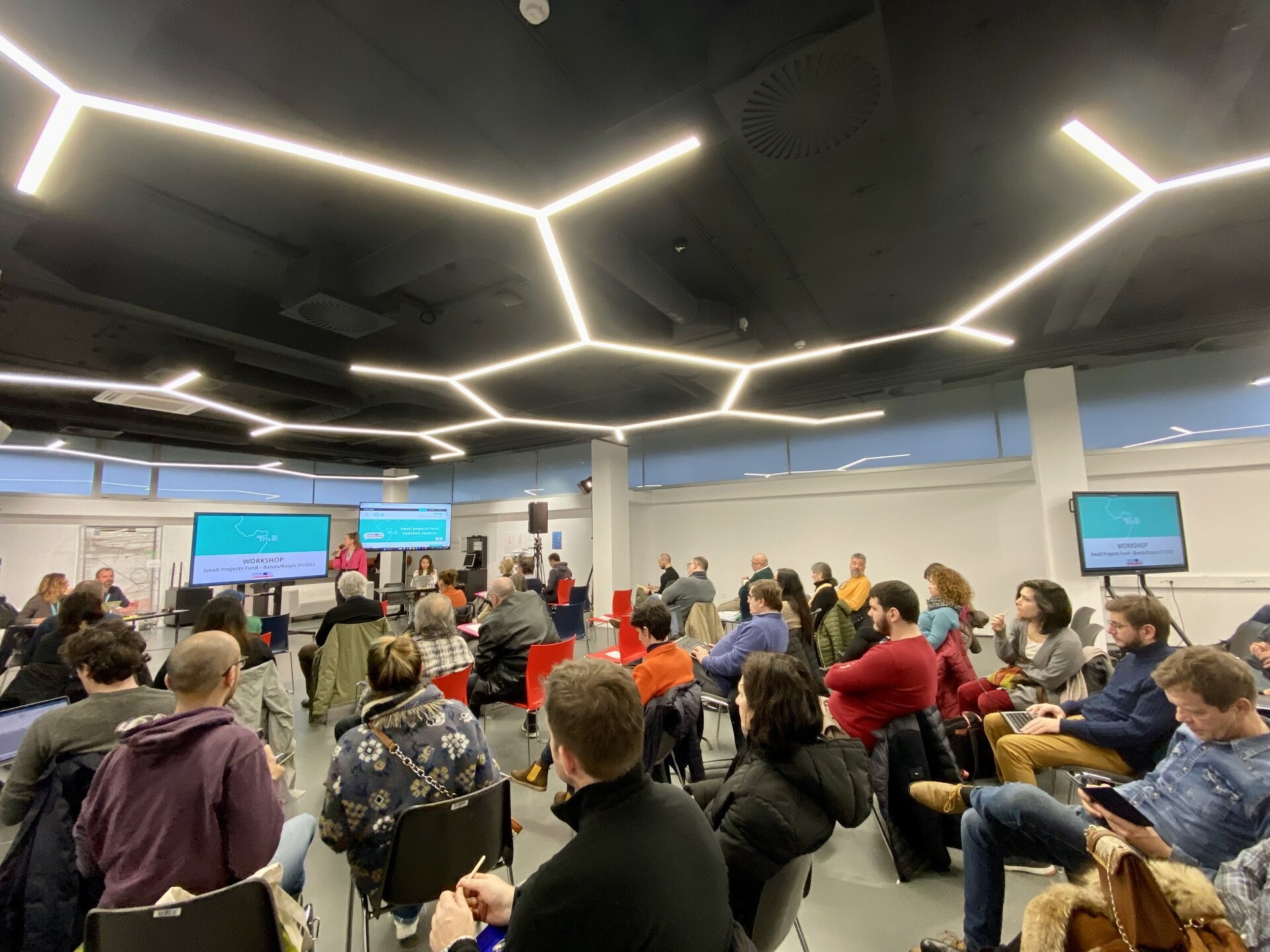 Più di 500 partecipanti ai due workshop tecnici dedicati al primo bando Interreg - SPF GO! 2025
