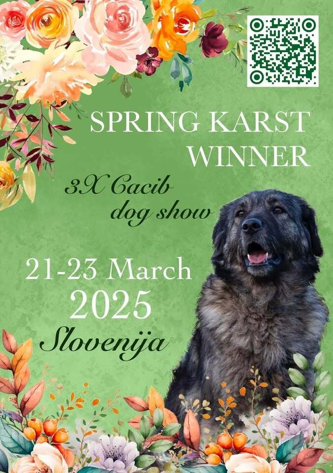 SPRING KARST WINNER DOG SHOW SPRING KARST WINNER DOG SHOW