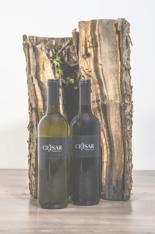 Cejsar Wine & Stay Cejsar Wine & Stay