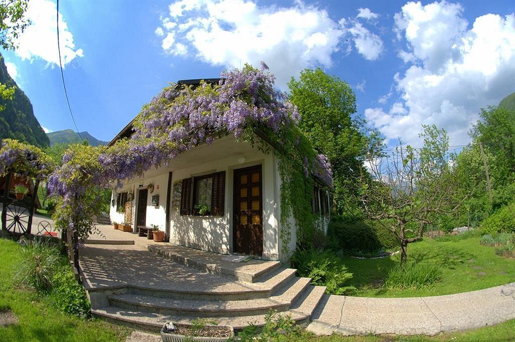 Apartma Bel Apartma Bel
