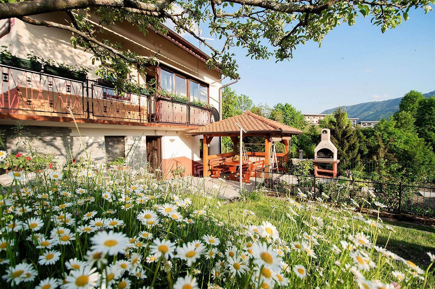 Apartma Bon Apartma Bon