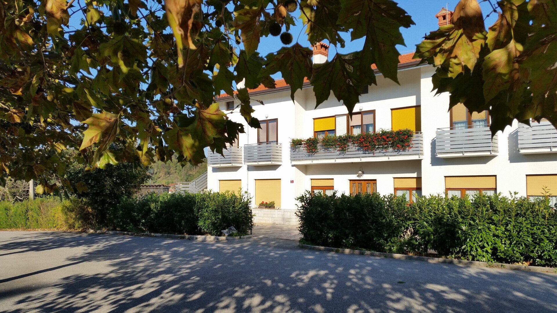 Apartments & rooms Fratnik Apartments & rooms Fratnik