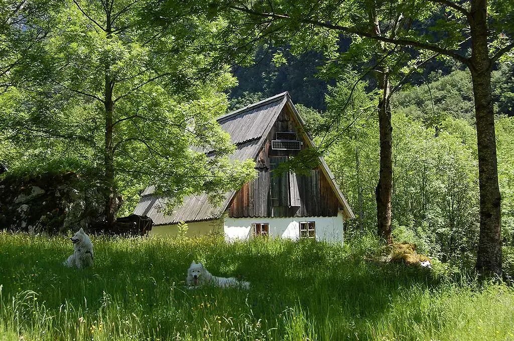 Bezgova hišica Bezgova hišica