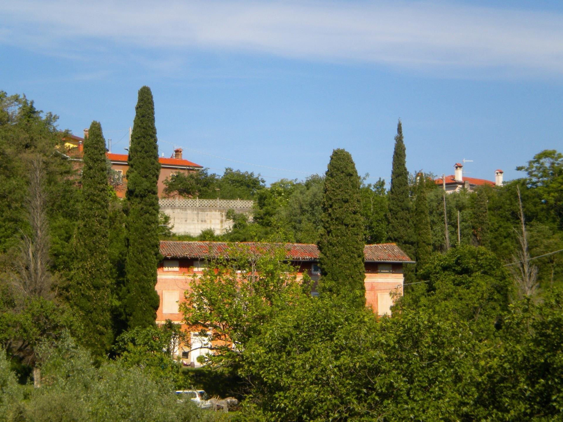 BOSCO FIORITO BOSCO FIORITO