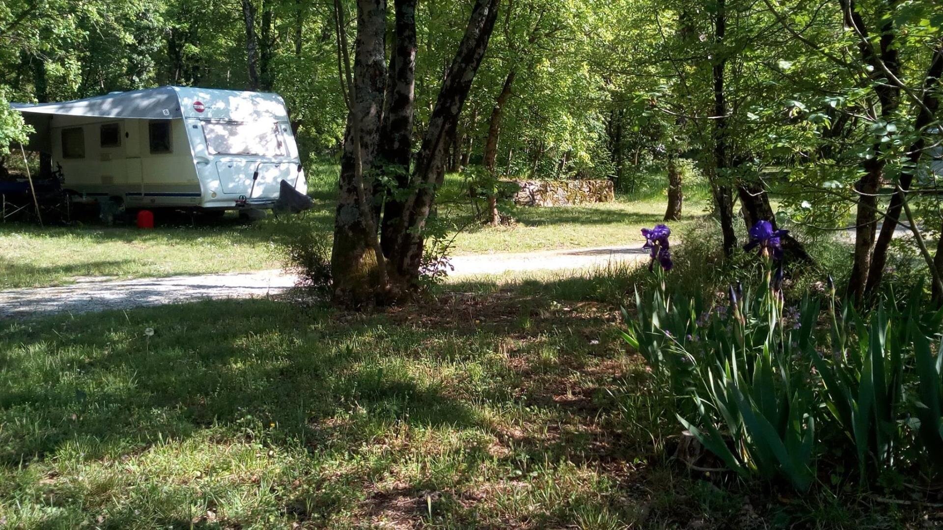 CAMPING AGRITURISTICO CARSO CAMPING AGRITURISTICO CARSO