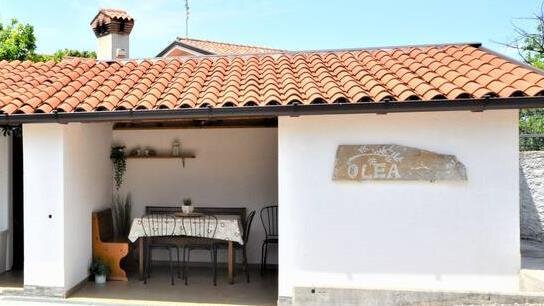 CASA OLEA CASA OLEA