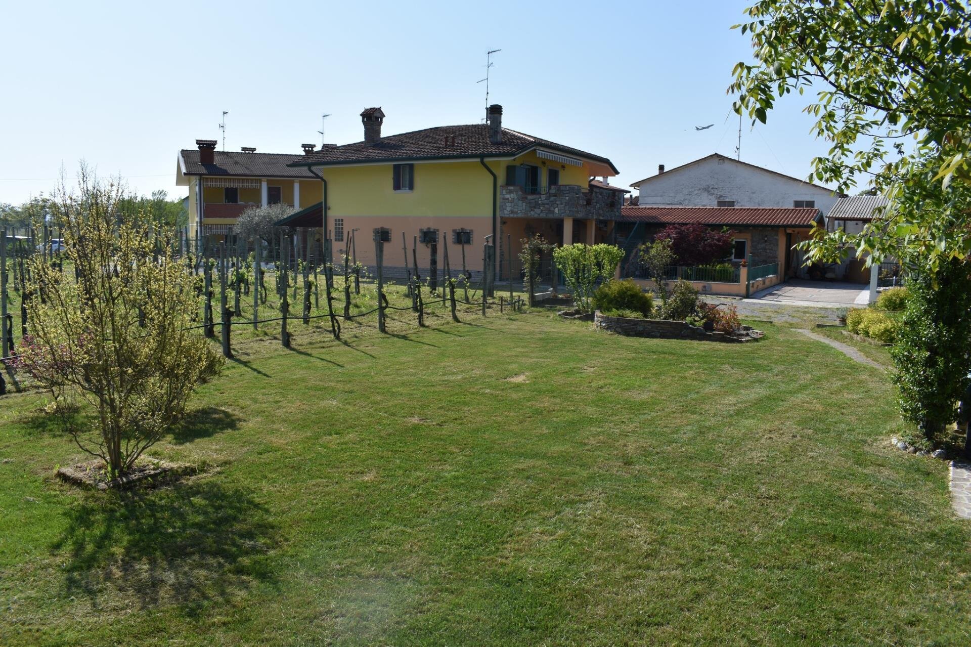 LA VIGNETA DEL NOVAL LA VIGNETA DEL NOVAL