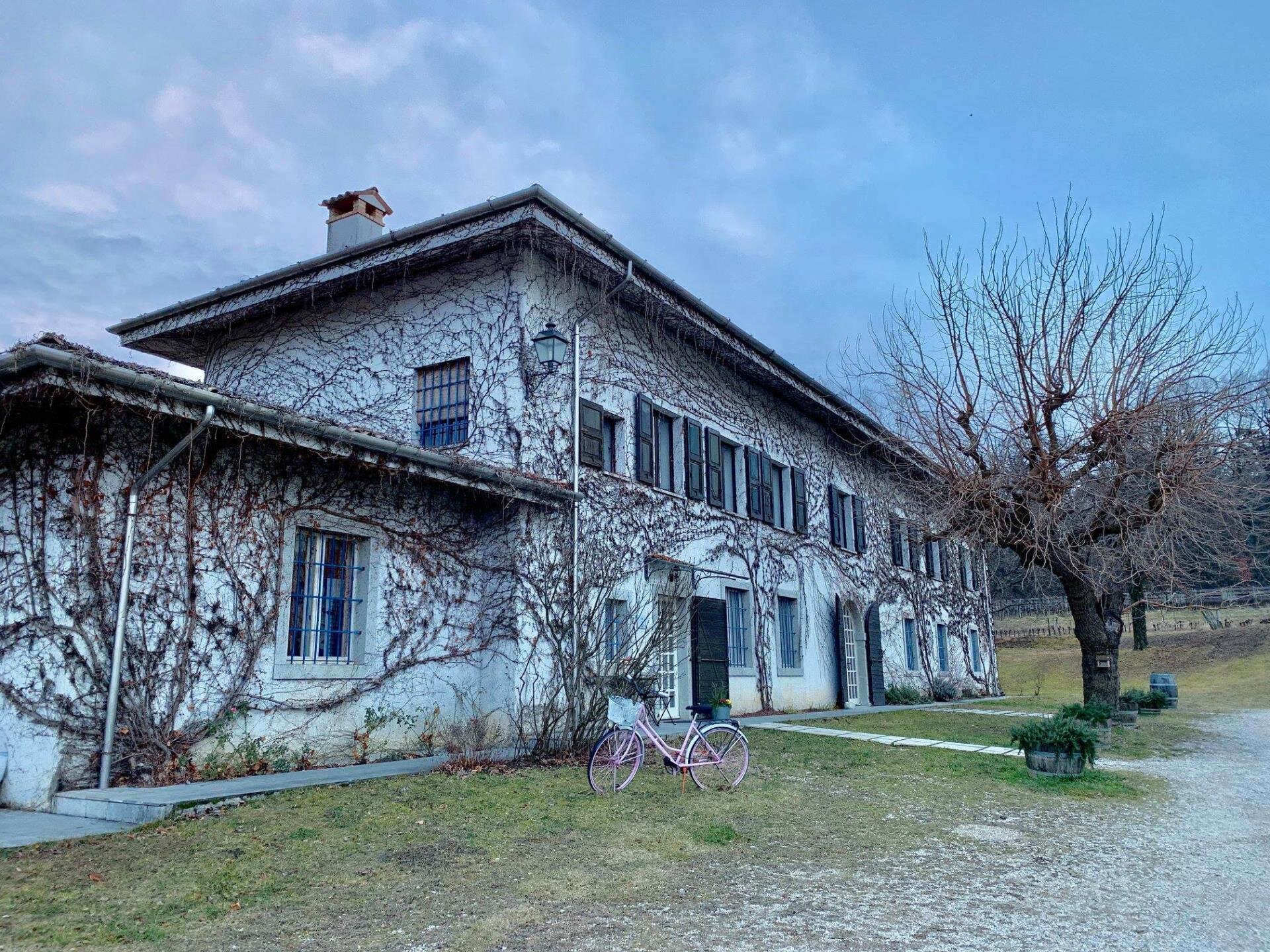 TRA LE VIGNE TRA LE VIGNE