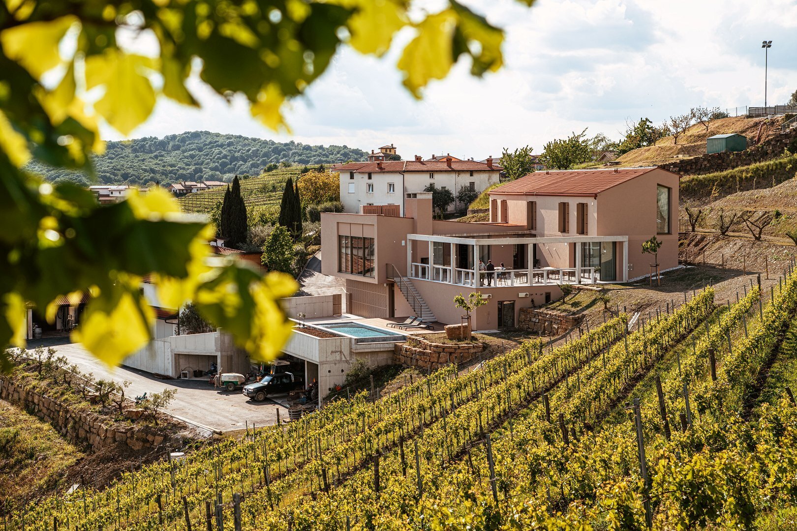 Ščurek Vino-wine Ščurek Vino-wine