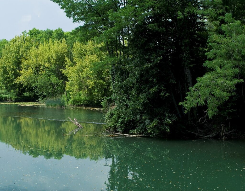 A pesca sul fiume Vipava 