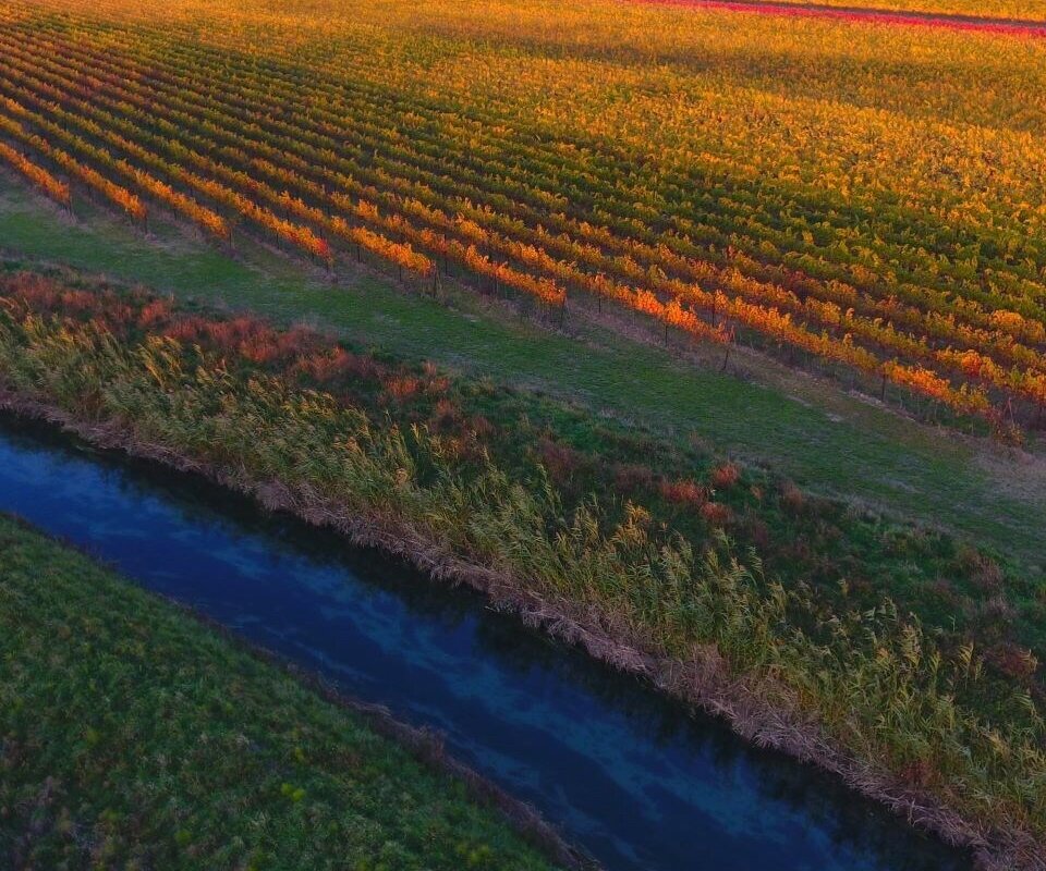 Proxyvfs.axd Image R348981 File Jpg