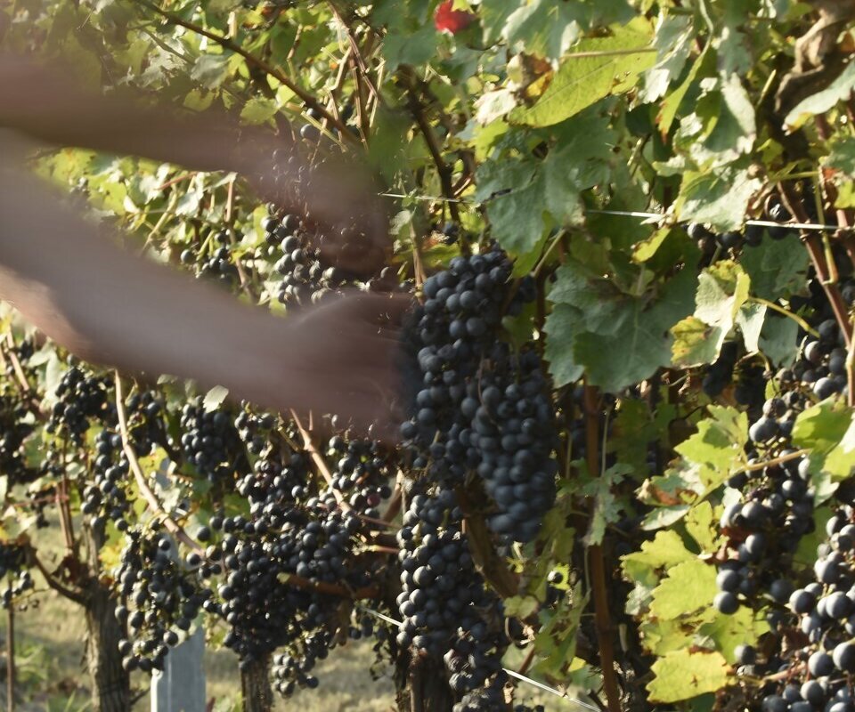 Proxyvfs.axd Image R359819 File Jpg