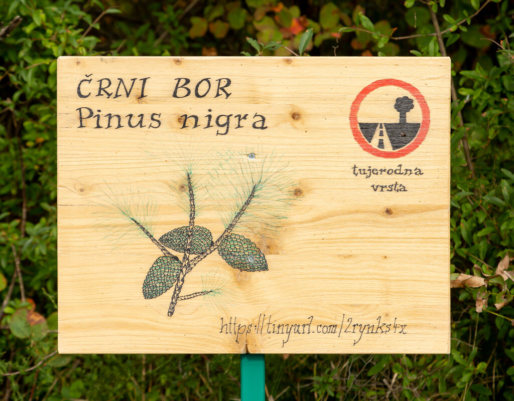 The Cerje educational trail