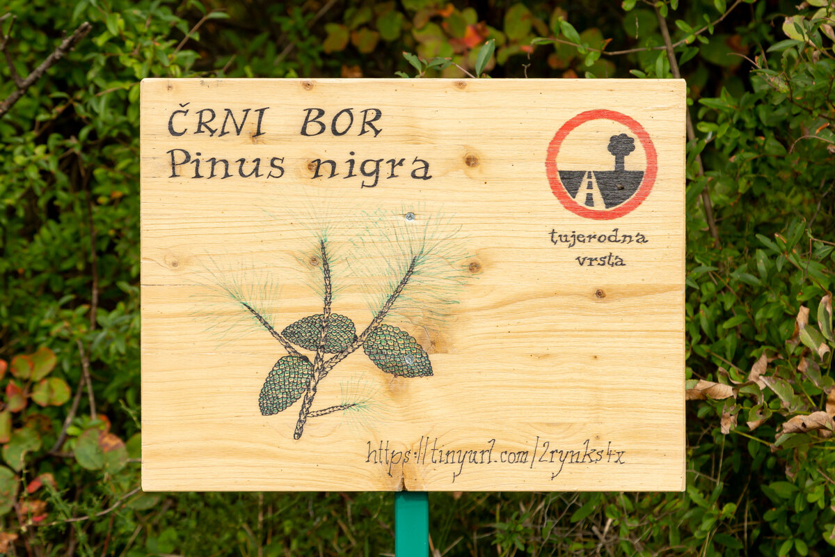The Cerje educational trail