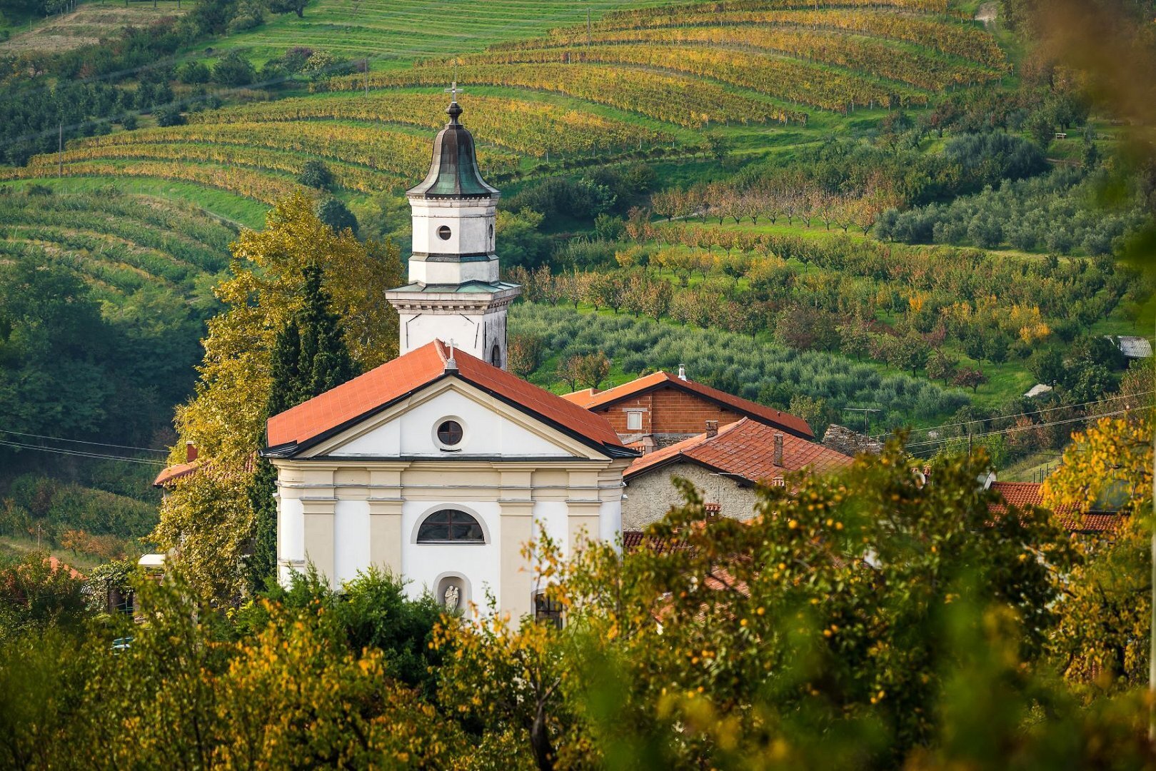 Župnijska cerkev Marijinega vnebovzetja, Kojsko Župnijska cerkev Marijinega vnebovzetja, Kojsko
