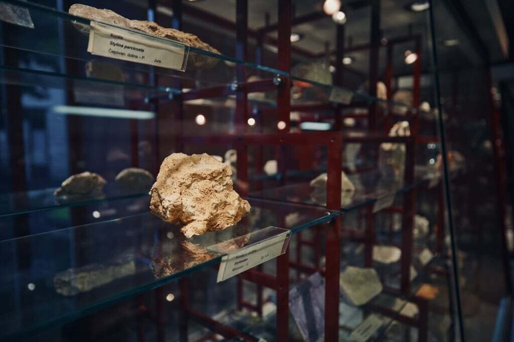 Files 12071 Cache C Prw Adfluviumfrigidum 043 C Prw