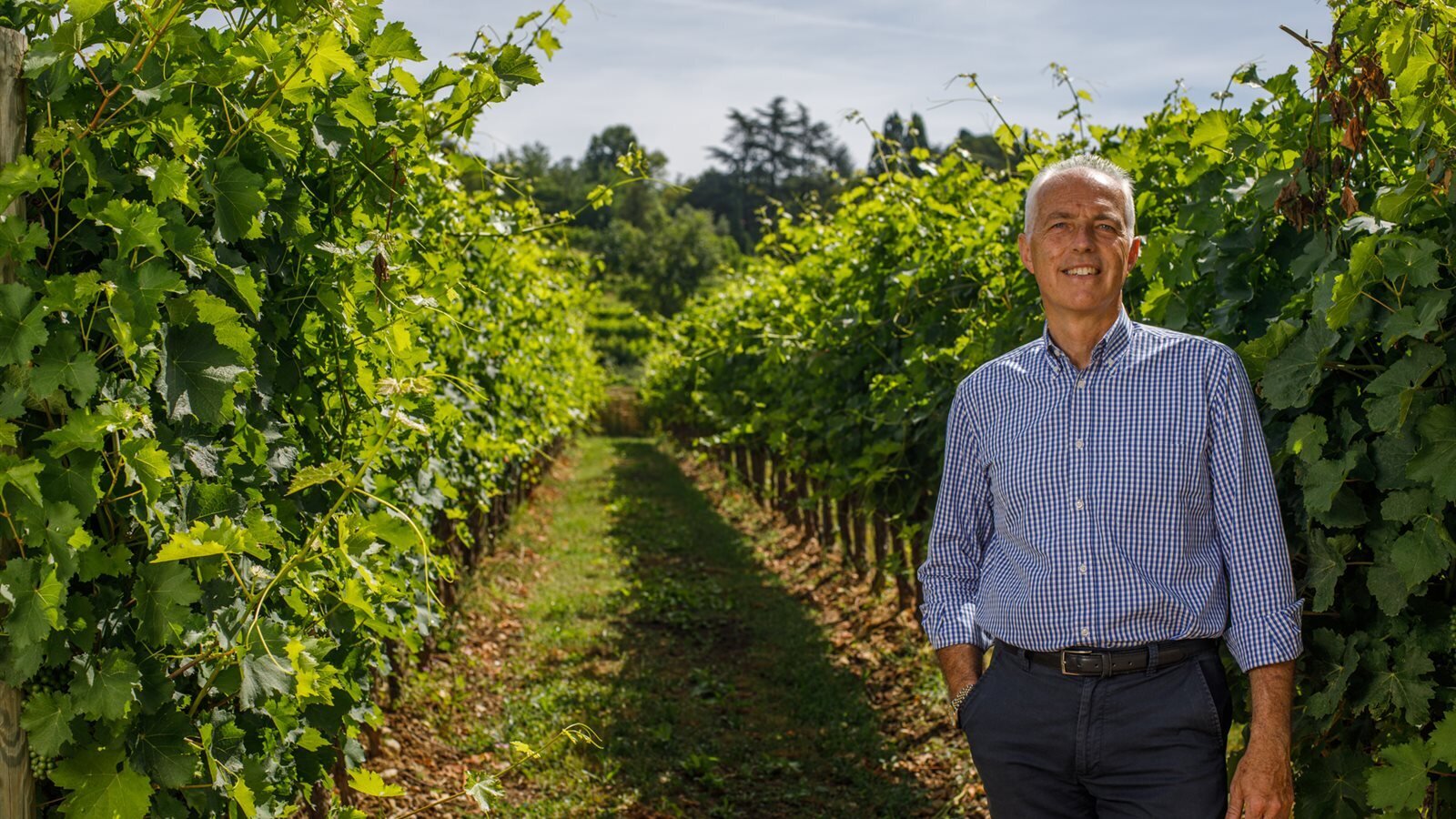 Colutta Wines Tfvg 78617 Colutta Wines Tfvg 78617