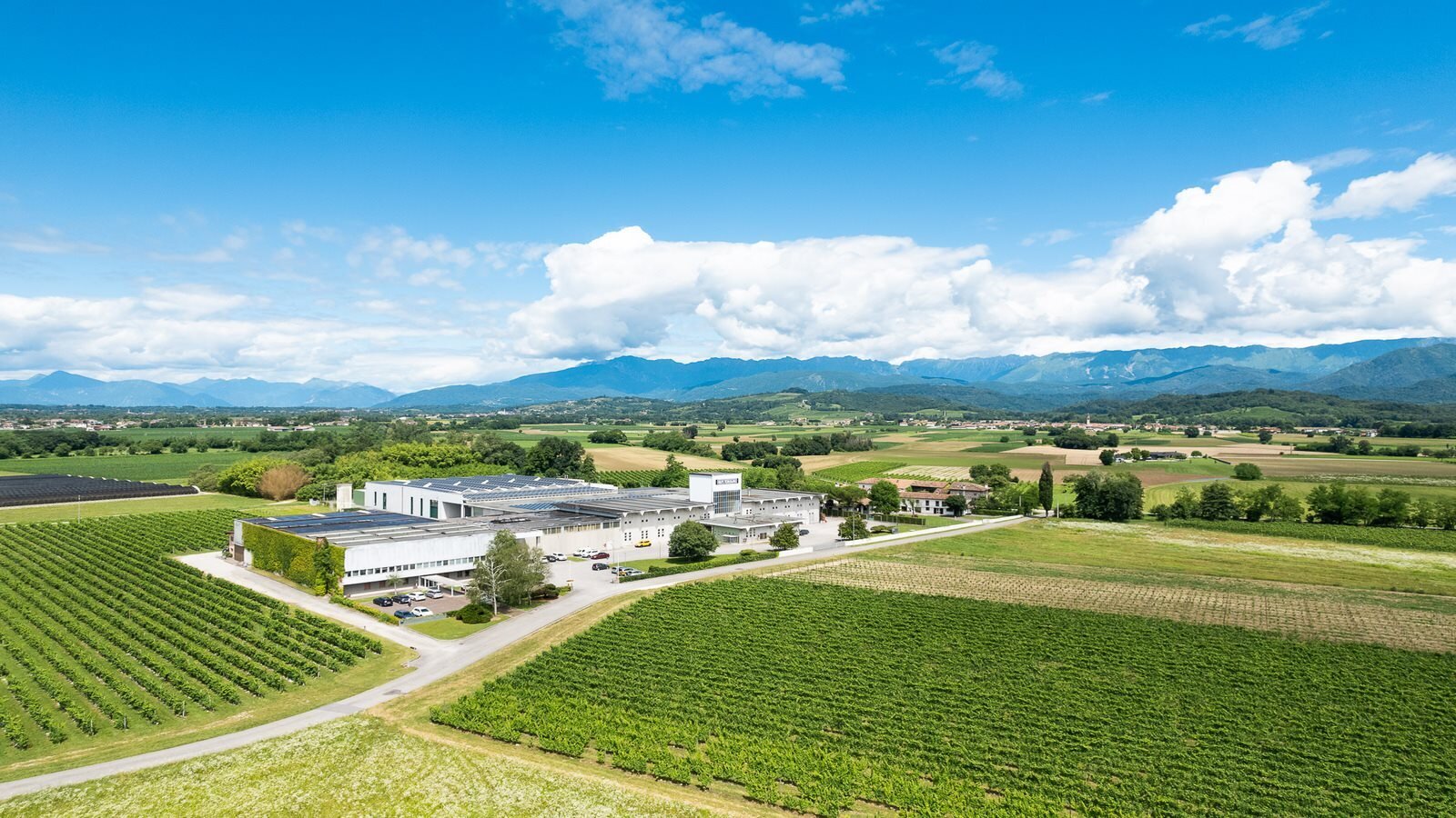Distillerie Bepi Tosolini Distillerie Bepi Tosolini