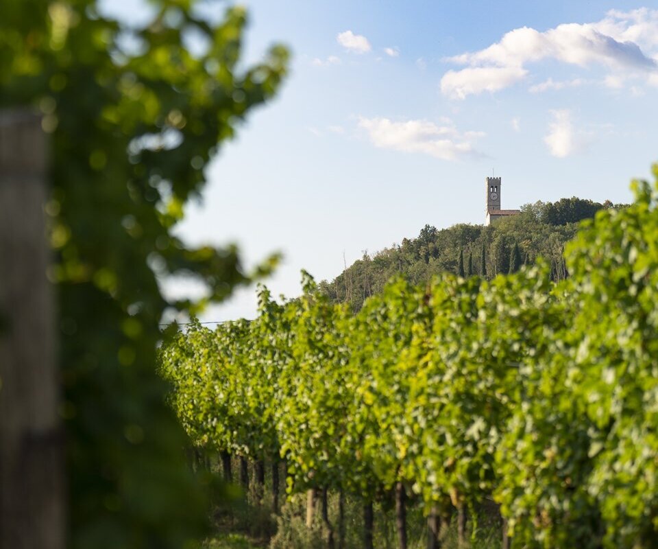 Proxyvfs.axd Image R344124 File Jpg Proxyvfs.axd Image R344124 File Jpg