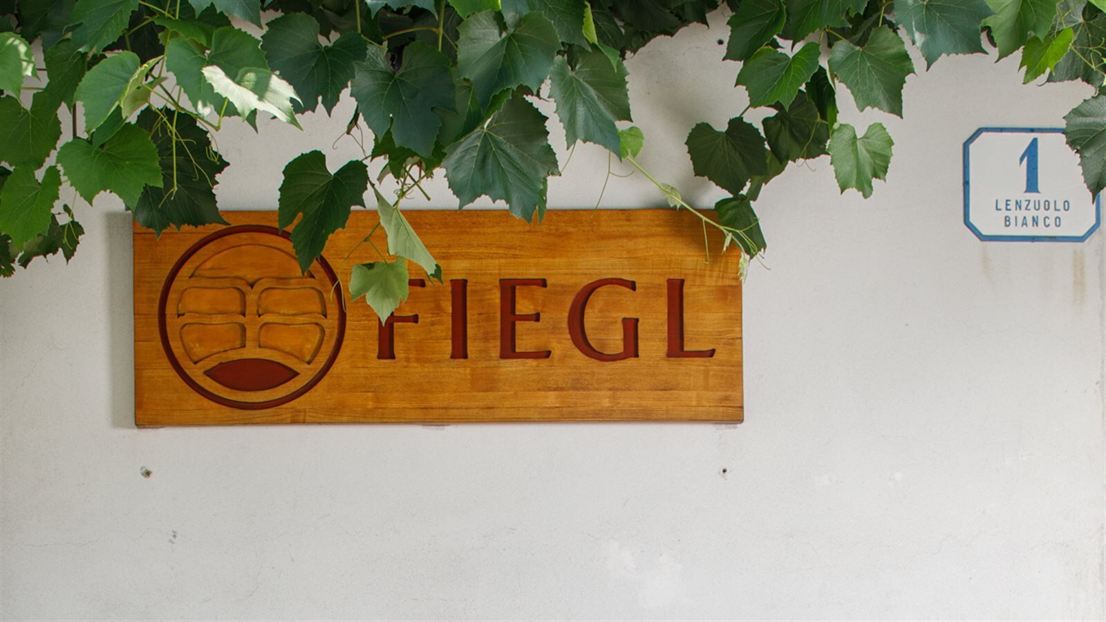 Fiegl Fiegl