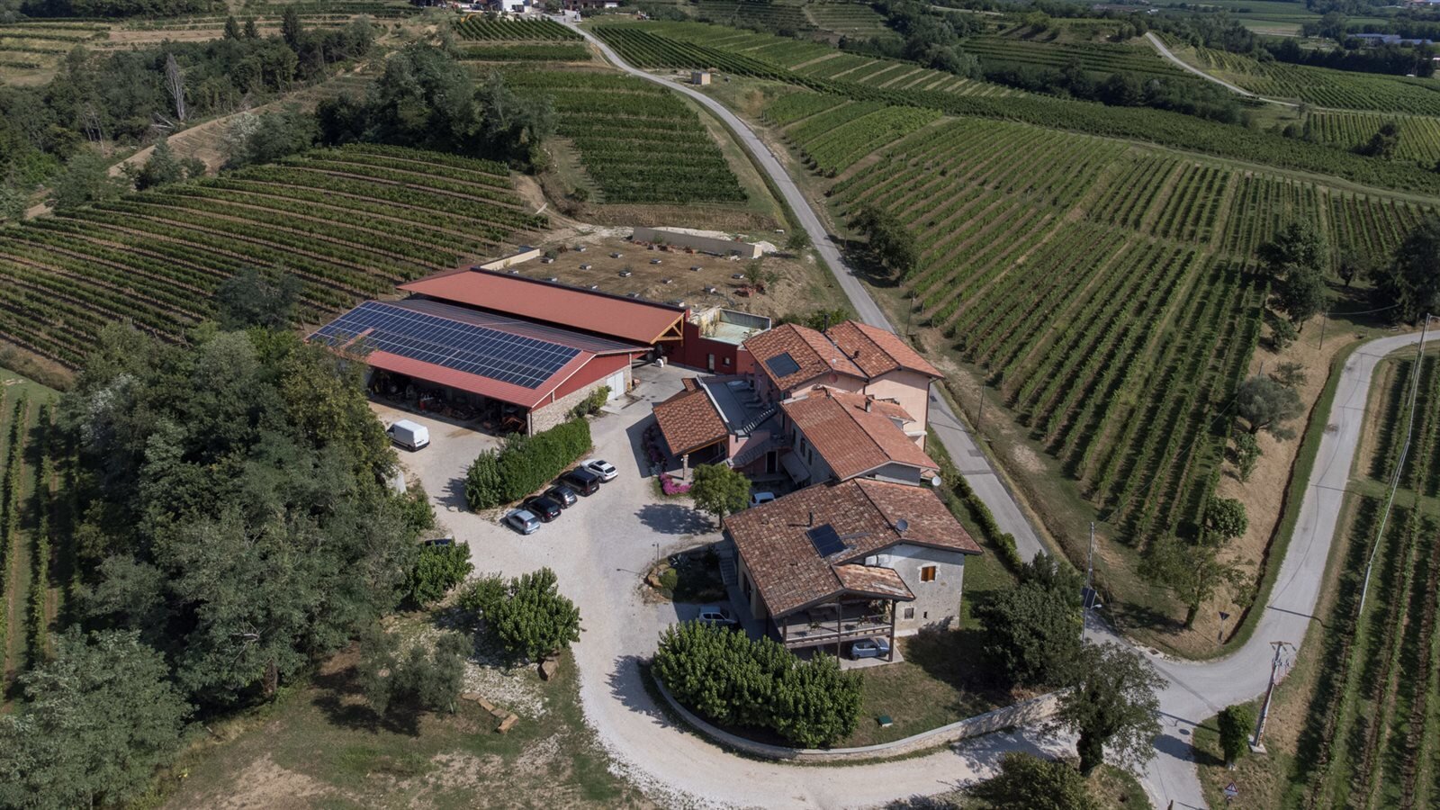 Gigante Wine&Welcome in Friuli Gigante Wine&Welcome in Friuli
