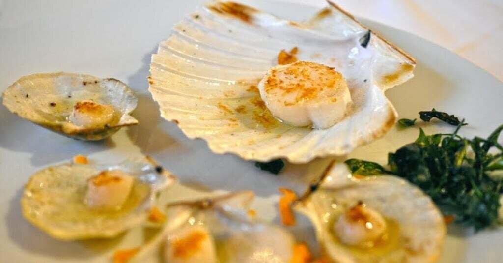 Files 12071 Cache C Prw Slika 6629f4dda073a4 C Prw