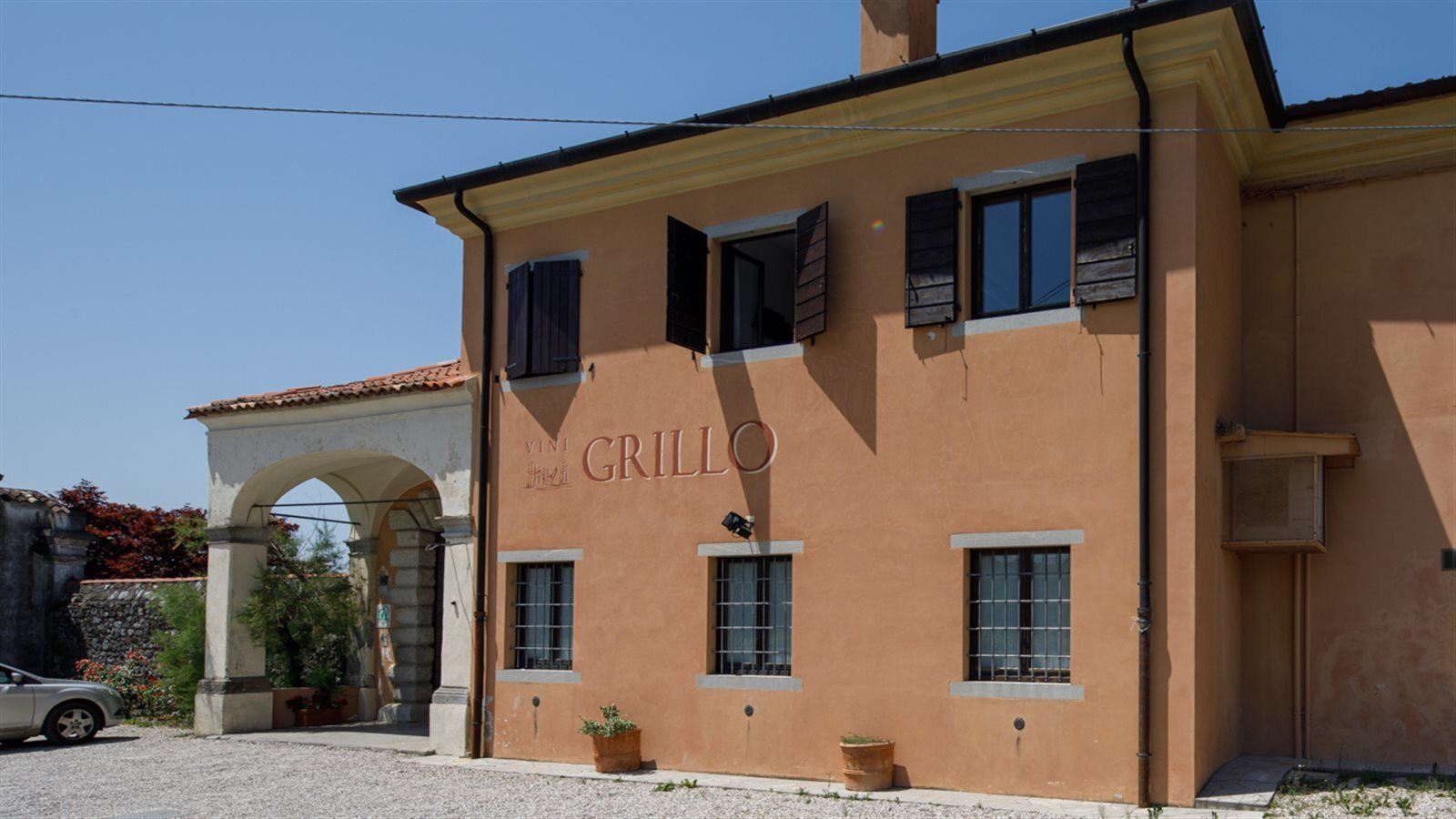 Grillo Iole Grillo Iole