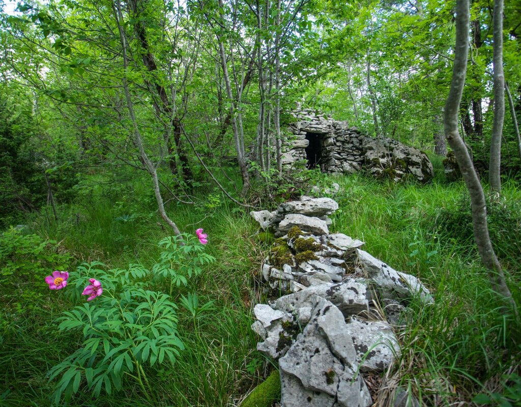 Upload Gallery 470 Pastirske Hiske Jost Gantar 11 Mala