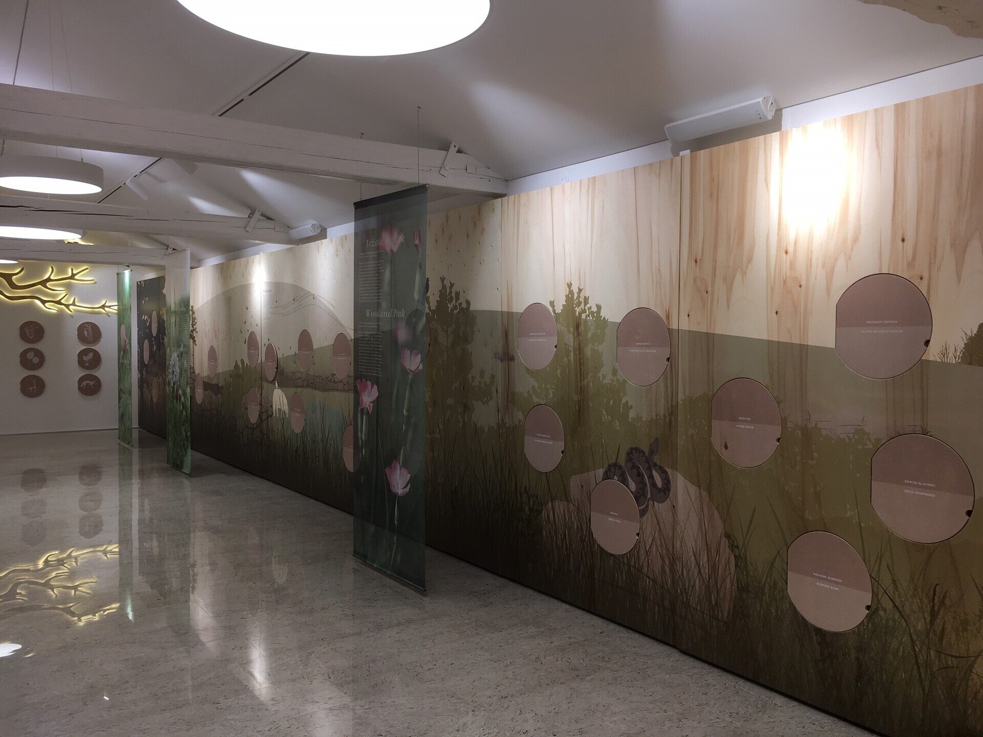 Karst Vegetation Interpretation Centre in the Sežana Botanical Garden at Mirasasso Villa Karst Vegetation Interpretation Centre in the Sežana Botanical Garden at Mirasasso Villa