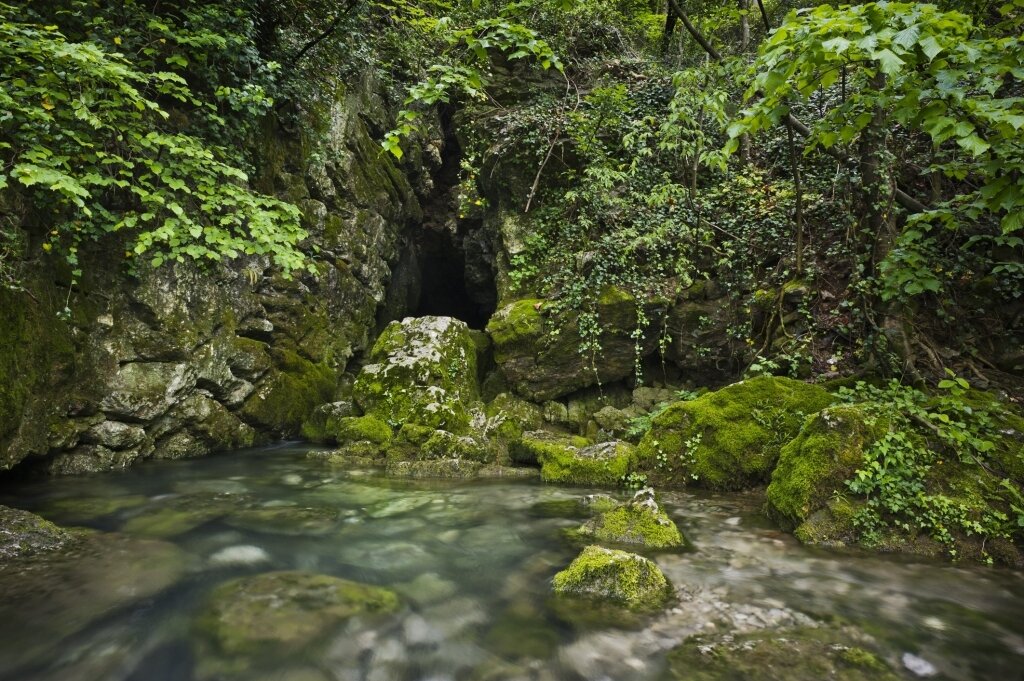 The Vipava River The Vipava River