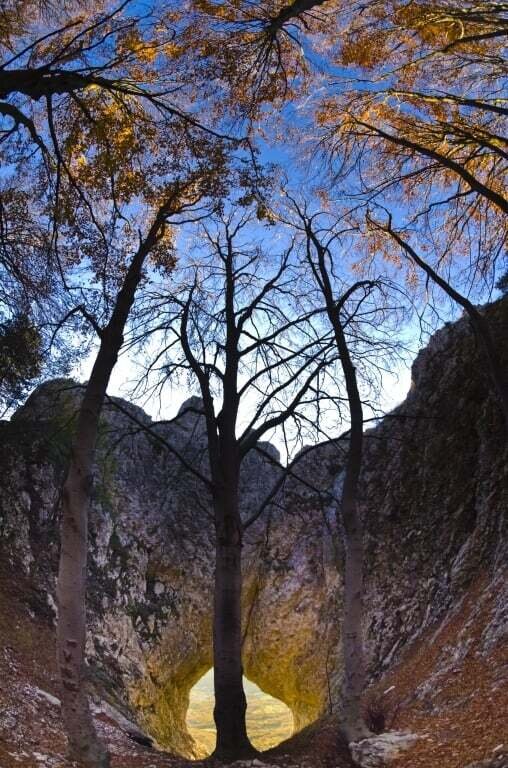 Files 12071 Cache C Prw Otlisko Okno 1195 C Prw C Prw