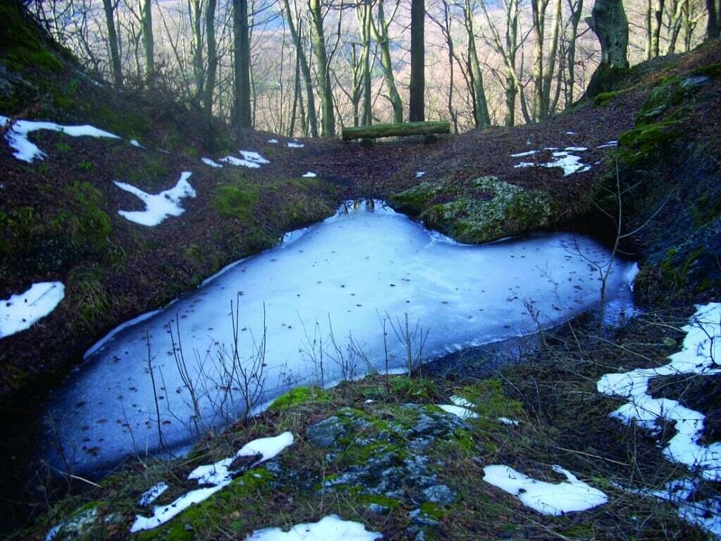 Files 12071 Cache C Prw Foto20skavnica C Prw C Prw