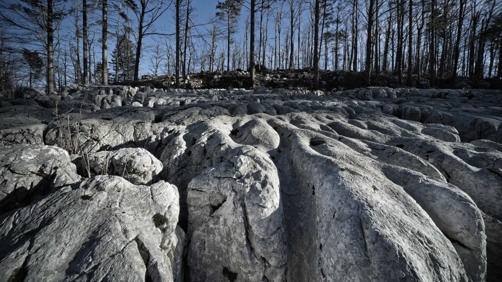 The Karst World The Karst World
