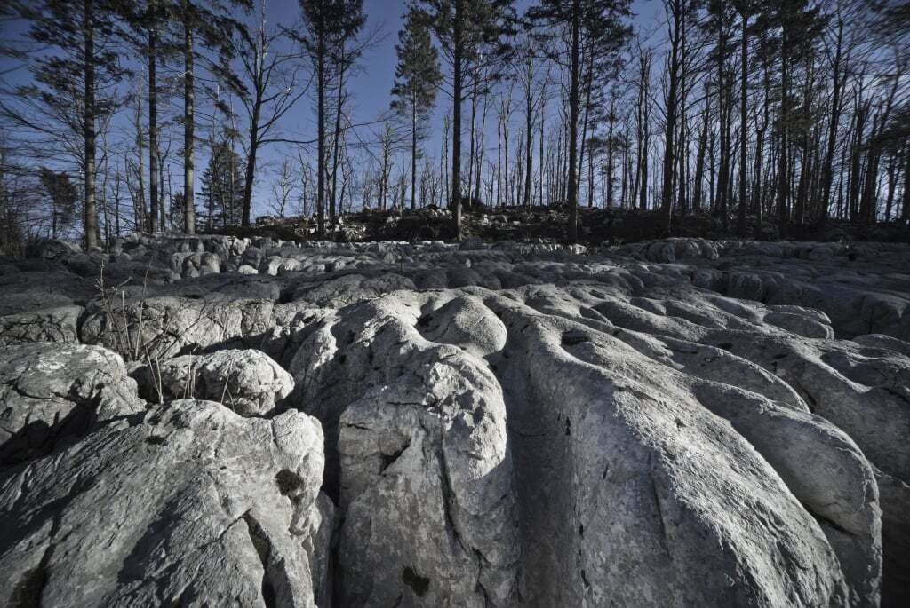 Files 12071 Cache C Prw Marijan Mocivnik Skraplje Pod Sinjim Vrhom 7789 C Prw