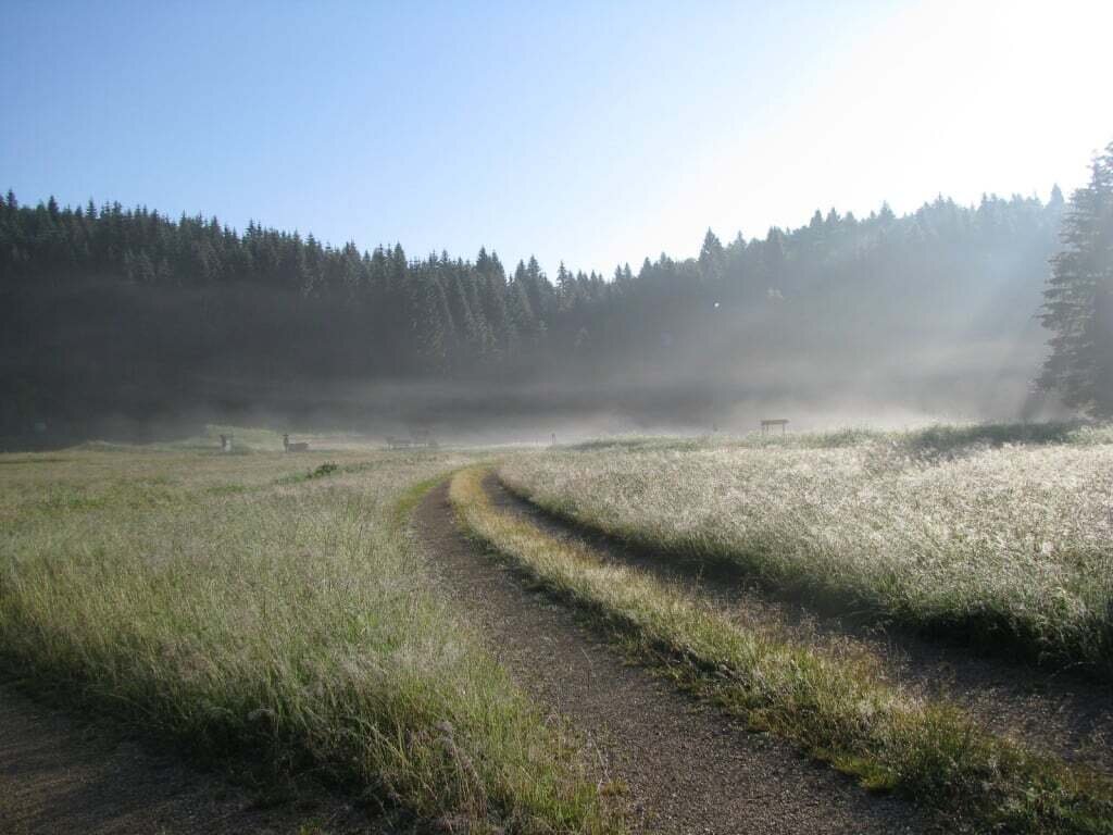 Files 12071 Cache C Prw Foto34amlaznaajda5a15716b15cd7 C Prw